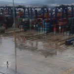 Algeciras