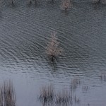 Vie et mort
