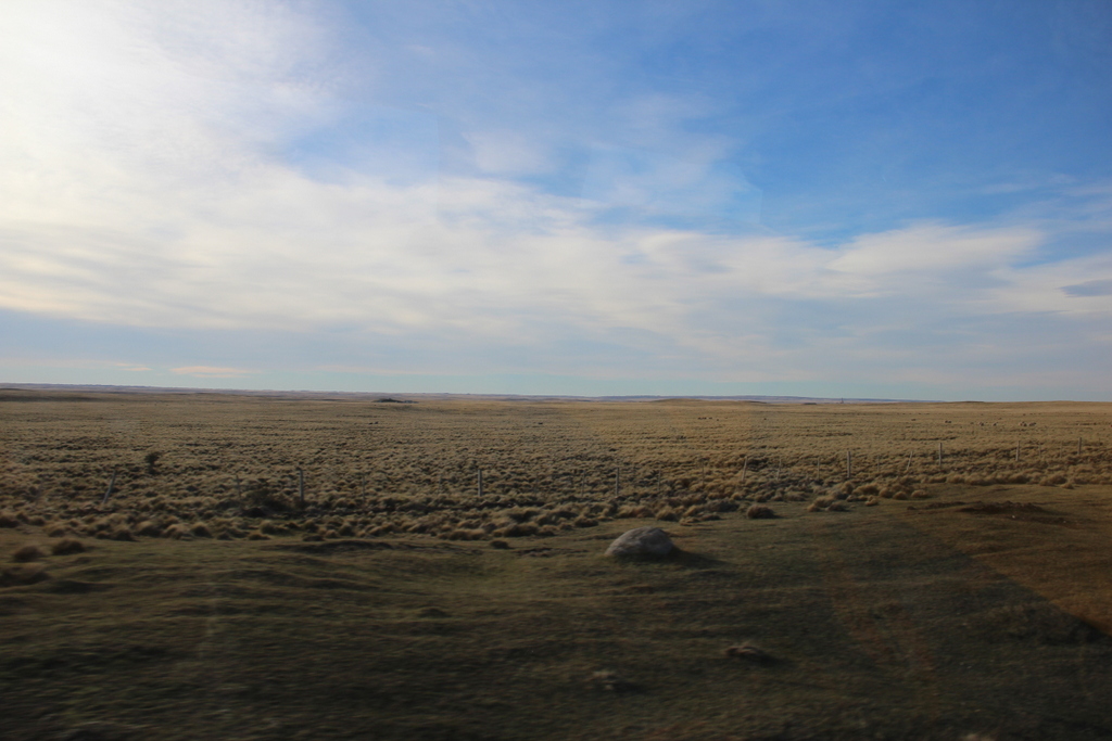 L’encre de Patagonie